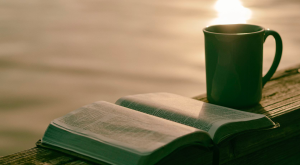 Your Purpose Part 1